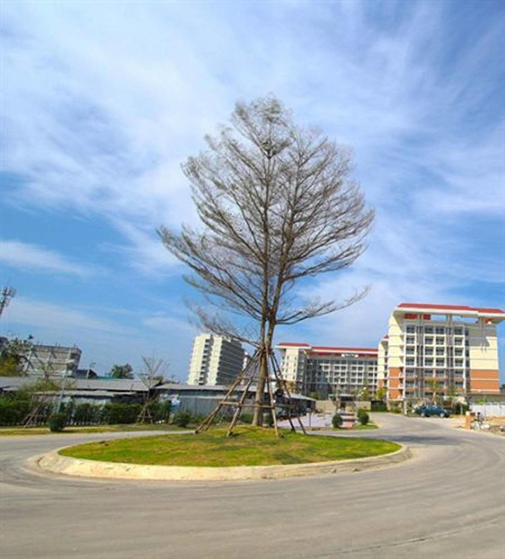 Grow Residences Bangkok Exterior photo